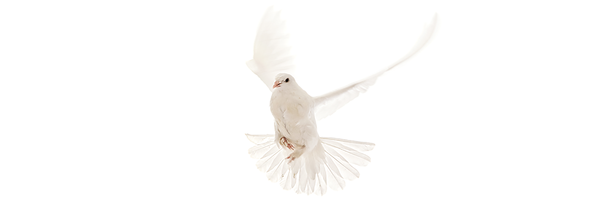 Paroisse Saint-Raymond-du-Nord