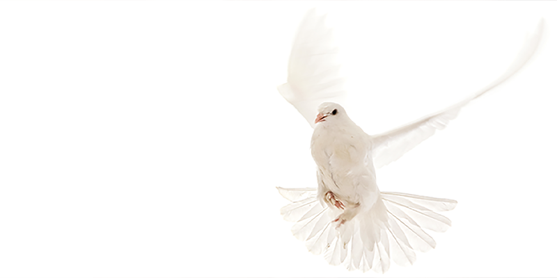 Paroisse Saint-Raymond-du-Nord